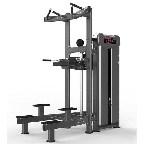 Chin/Dip Assist M3-1020