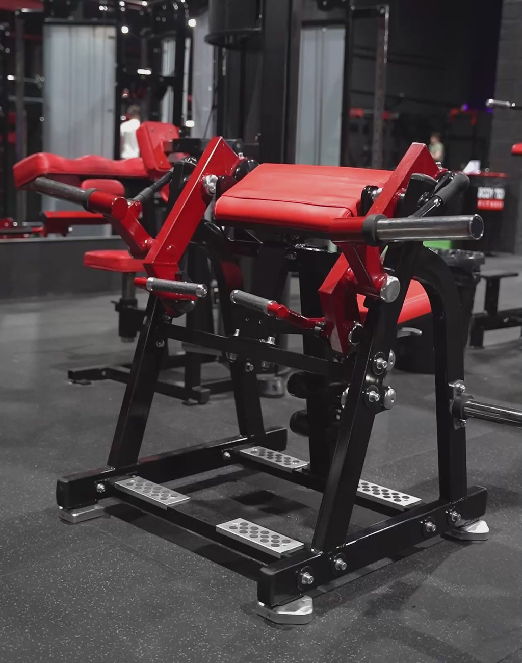 Biceps Curl LD-1005
